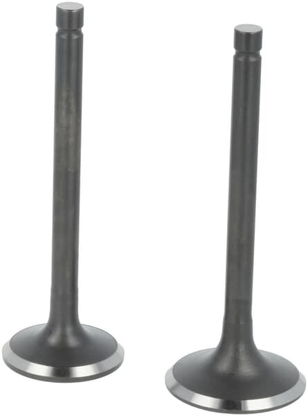 Loncin Ventilsatz 5005500370001