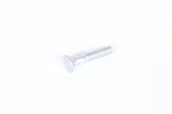 SHARE SCREW - 10 pieces