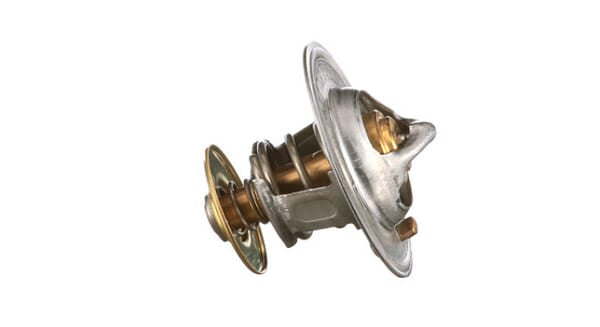 FPT Industrial Thermostat - 1 Stück - 504038890FPT