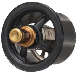 FPT Industrial Thermostat - 1 Stück - 504096443FPT