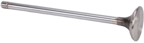 FPT Industrial Auslassventil - 1 Stück - 504375458FPT