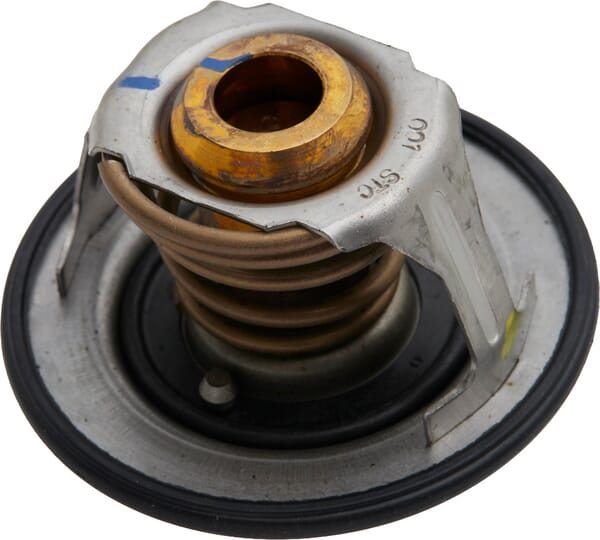 FPT Industrial Thermostat - 1 Stück - 504380075FPT