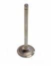 FPT Industrial Einlassventil - 1 Stück - 504387778FPT