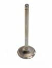 FPT Industrial Auslassventil - 1 Stück - 504387779FPT