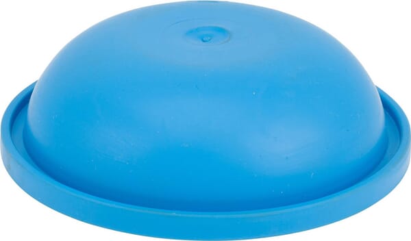 AR Windkessel Membran 550194AR