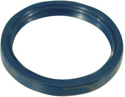 AR Dichtungsring 550491AV