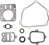 Briggs & Stratton Motordichtungssatz 555631