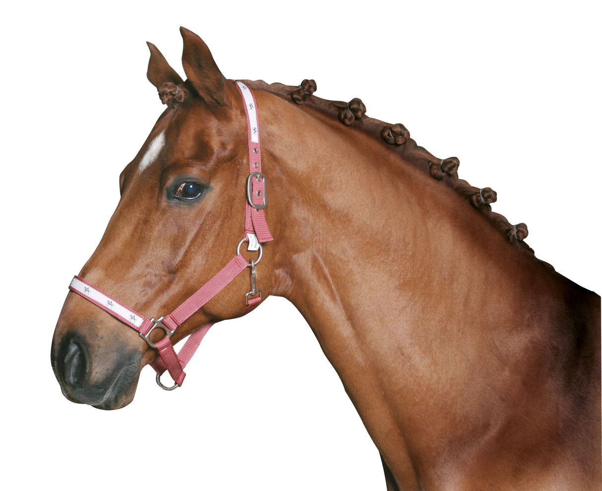 Kerbl Artikel 321471 im Online Shop kaufen