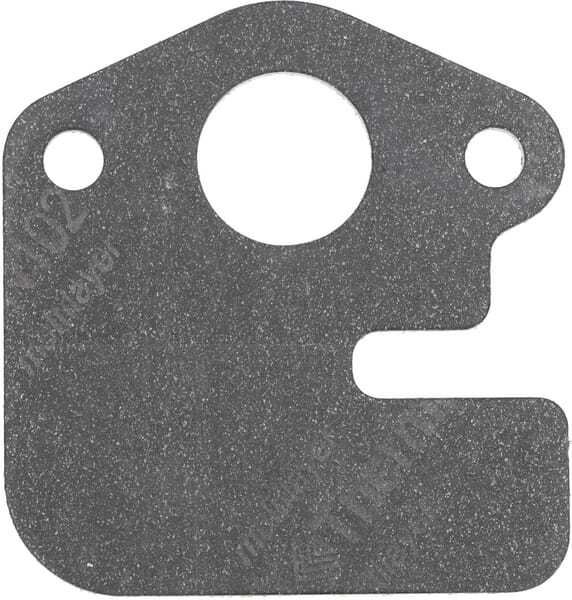 Briggs & Stratton Dichtungseinlass 590398