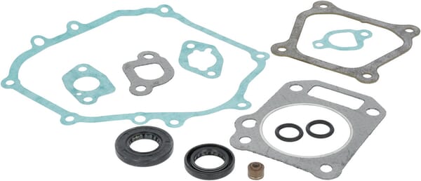 Briggs & Stratton Motordichtungssatz 591460