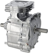 Briggs & Stratton Rumpfmotor SB MODEL 21 AVS 592055