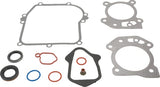 Briggs & Stratton Motordichtungssatz 84006582