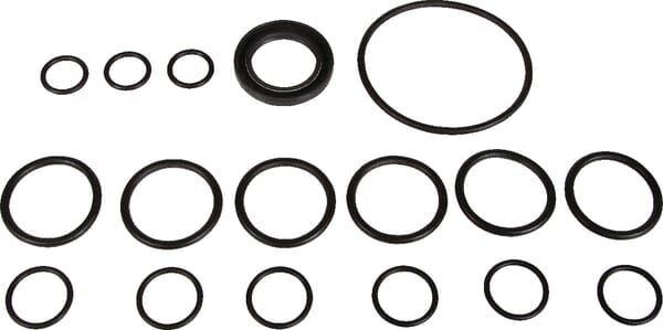 Bertolini Pumpen-Ersatzset Bertolini - 1 Set - 629803973