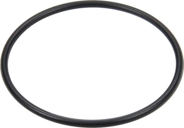 AR O-Ring 650920