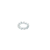 KRAMP Fächerscheibe verz. M6 - 100 Stück 6798A6