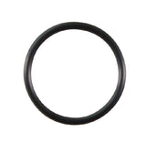 Briggs & Stratton O-Ring 691870
