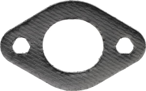 Briggs & Stratton Dichtung 695398