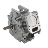 Briggs & Stratton Rumpfmotor 699582