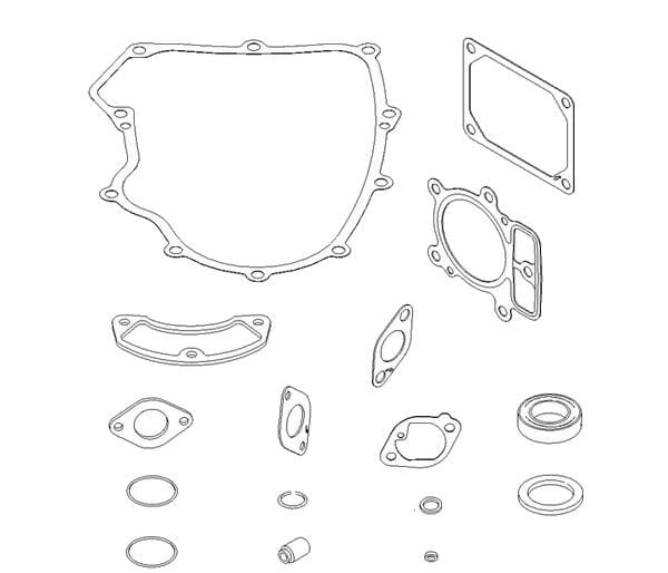 Briggs & Stratton Dichtungssatz 699823