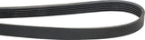 KRAMP Rippenriemen 6PK1075 Optibelt 6PK1075