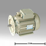 Original GEA Motor Milchpumpe 1,1 kw 2800U gr. Flans. 7038-2206-030 Ersatzteil