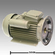 Original GEA Wechselstrommotor 7038-2206-060 Ersatzteil