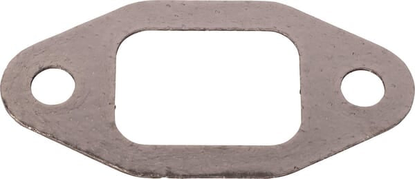 Landini Öldichtring 705273A1