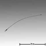 Original GEA Drahtseil gelötet 7071-5617-000 Ersatzteil