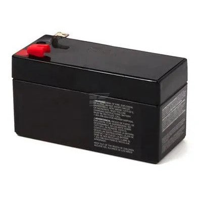 Briggs & Stratton Batterie 707495