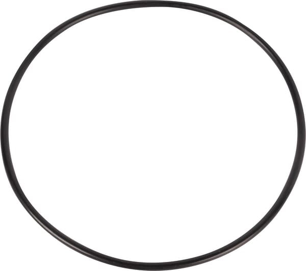 AGCO O-ring 70924187