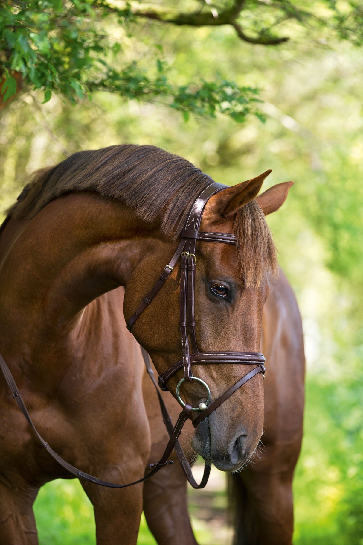 Kerbl Artikel 324911 im Online Shop kaufen