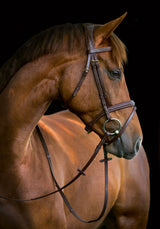 Kerbl Artikel 324911 im Online Shop kaufen