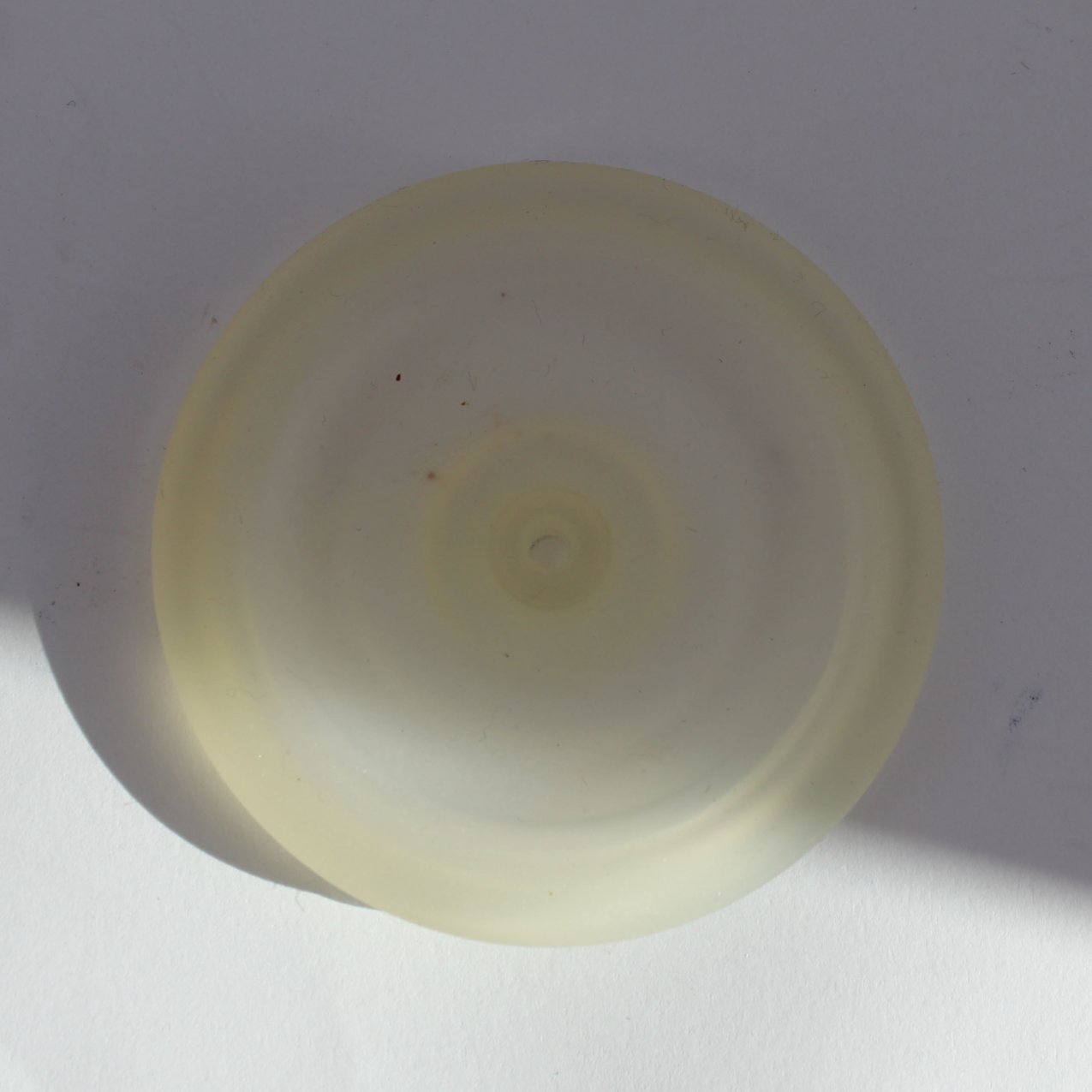 membrane