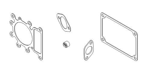 Briggs & Stratton Dichtungssatz 794152