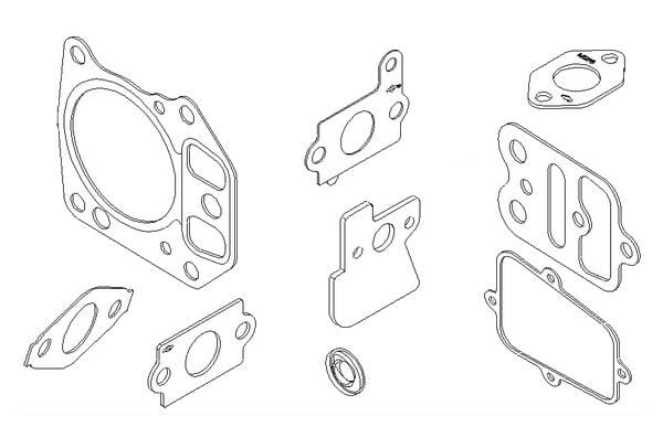 Briggs & Stratton Dichtungssatz 795441