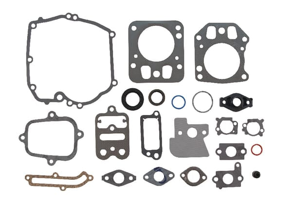 Briggs & Stratton Dichtungssatz 795442