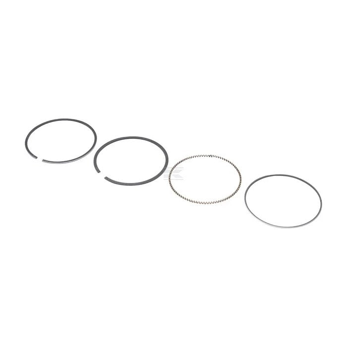 Briggs & Stratton Ring-Set-010 799539