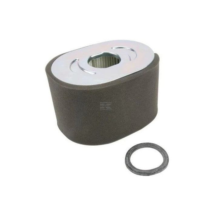 Briggs & Stratton Luftfilter oval 799818