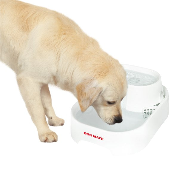 Dog Mate Trinkbrunnen für Hunde Wasserspender 6 Liter - 80890