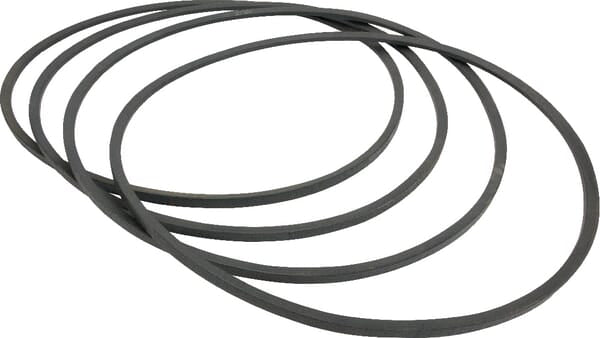 Maschio-Gaspardo Keilriemensatz - 1 Stück - 8113629704