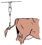 Kerbl Kuhschwanzhalter 3 Stück 11280/3