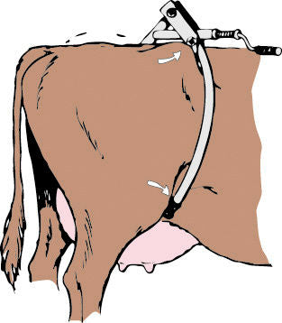 Kerbl Hüftfessel für Kühe Modell Amerika 113