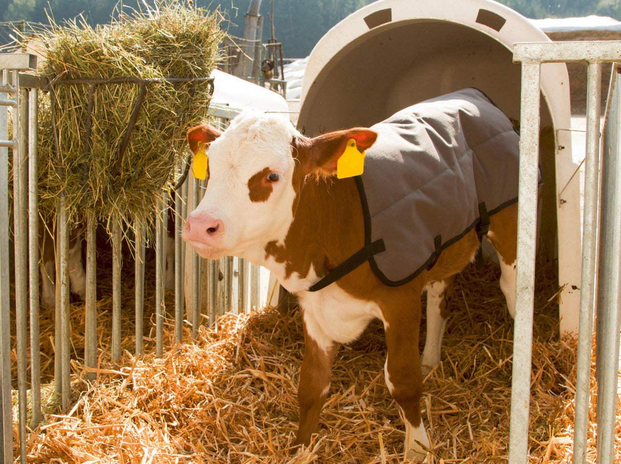 Kerbl Artikel 14155 im Online Shop kaufen