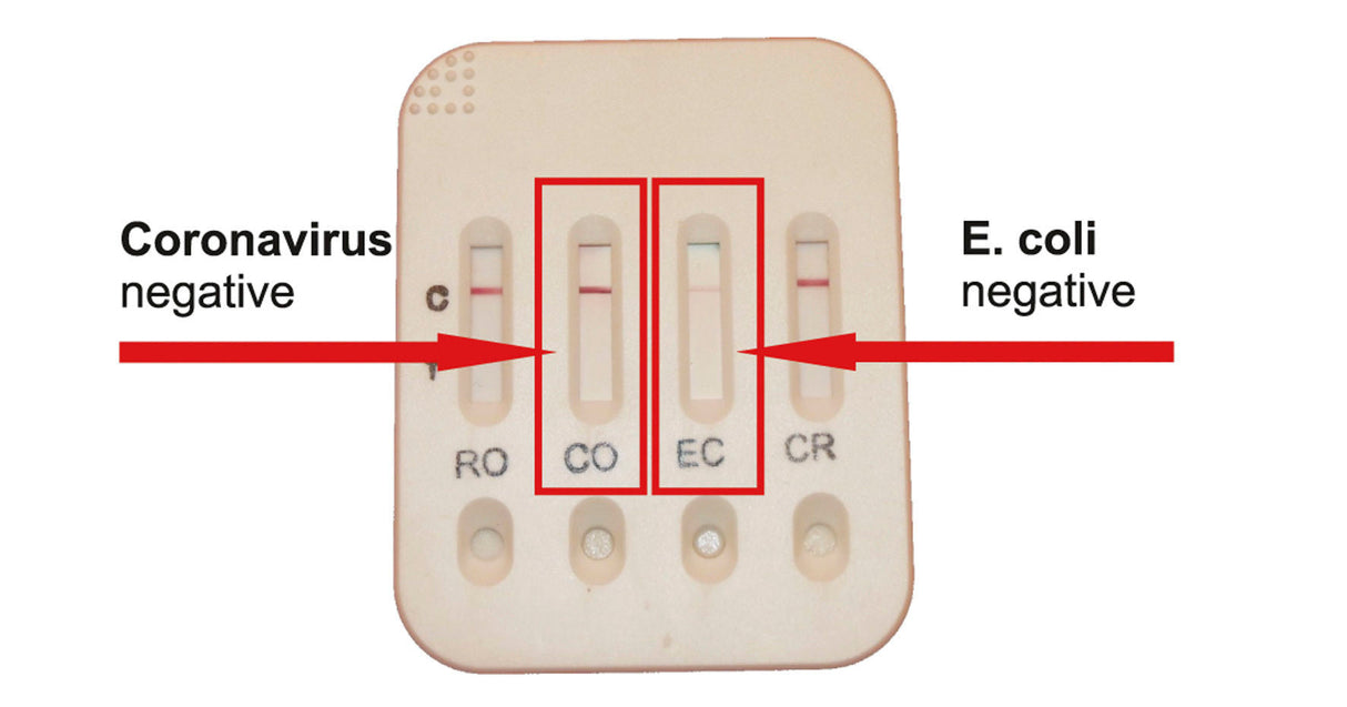 Kerbl 4D-Test Kälberdurchfalltest 5 Stück 15843