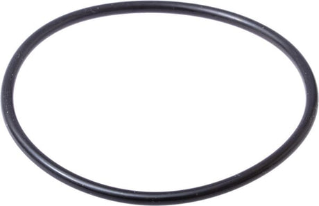 Original New Holland CNH Ersatzteil Nummer 83913202 O-RING 