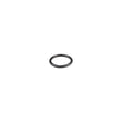 Original New Holland CNH Ersatzteil Nummer 84125011 O-RING 