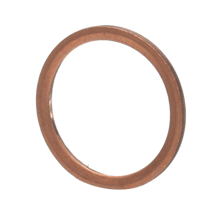 Original New Holland CNH Ersatzteil Nummer 84125022 DICHTRING 