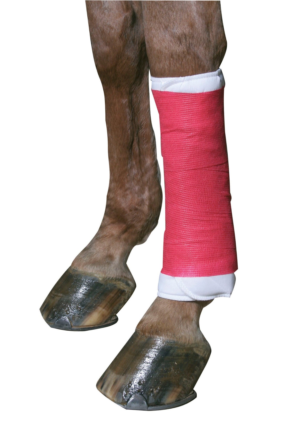 Kerbl EquiLastic selbsthaftende Bandage, rot, 10cm breit 1694