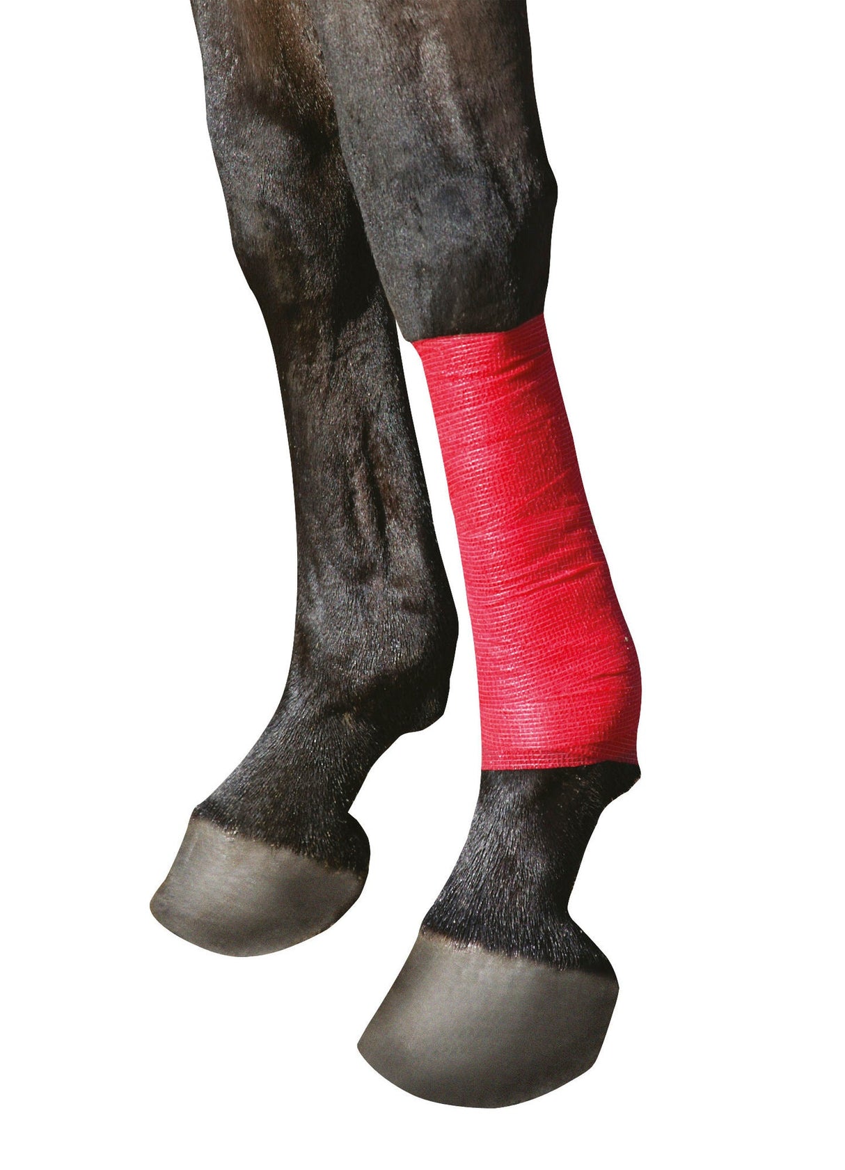 Kerbl EquiLastic selbsthaftende Bandage, rot, 10cm breit 1694