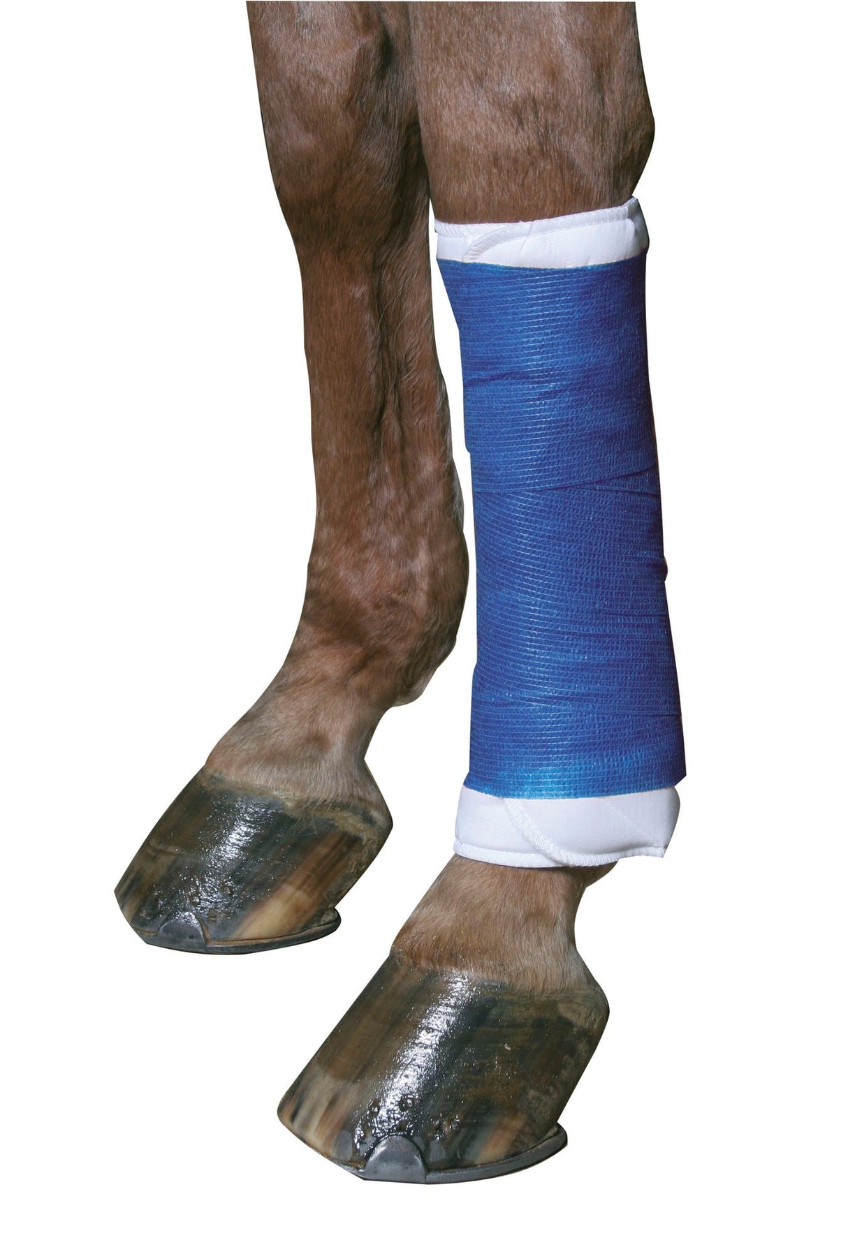 Kerbl EquiLastic selbsthaftende Bandage, blau, 10cm breit 1695